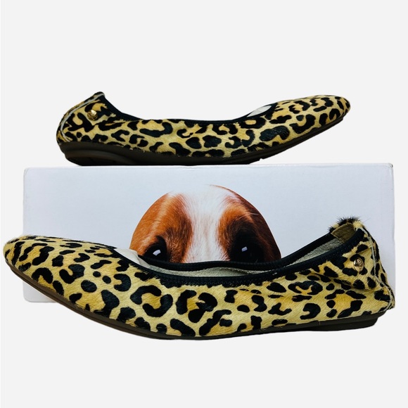 Hush Puppies Shoes - Hush Puppies Chaste Ballet Flats In Calf Hair Leopard Women’s Size 6